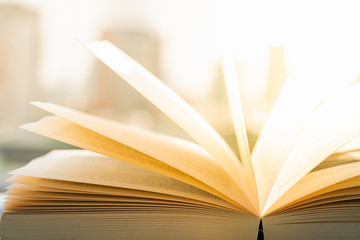 Education and wisdom concepts. Open book under sunlight with city backgrouns.