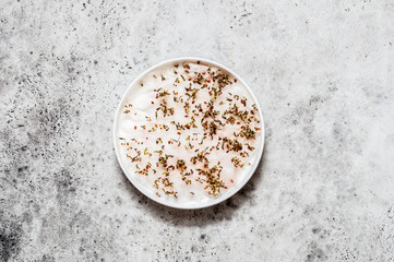 Sprouting Cress Salad Seeds