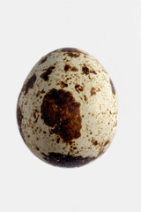 Naklejka na ściany i meble One quail eggs white background Healthy organic food Raw food