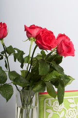 A bouquet of scarlet roses in a glass vase. Nearby are napkins. On a white background.