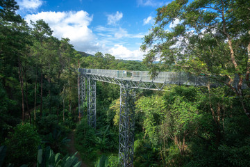 Canopy walkway at the impressive Queen Sirikit Botanic Gardens in the mountains. It has also now been recognised as the longest suspended walkway in Thailand.