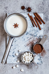 Fototapeta na wymiar Hot Chocolate Ingredients