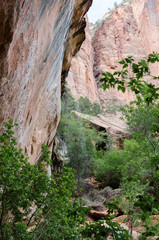 Zion National Park, Emerald Pools Trail, Utah, USA