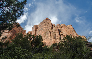 Beautiful  landscape of  Zion National 'Park under blue sky. Utah