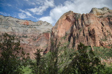 landscape of  Zion national park under blue sky