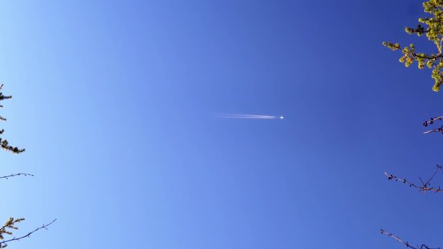 A jumbo passenger jet flying over ver fast on a blue sunny sky.
