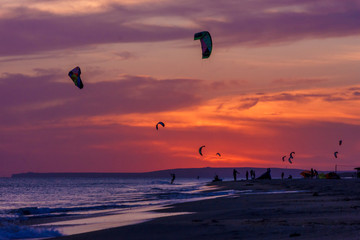 extreme group of professional kiters slide waves, jumps air on black sea with sail wing in hands led wind an sunset, onlookers photographers seagull on shore. village of annunciation. backlit, toned