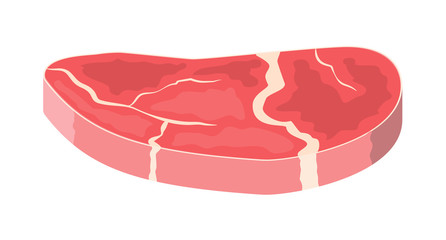 Beef tenderloin. Pork knuckle. Slice of steak, fresh meat. Uncooked pork chop. Vector illustration in flat style