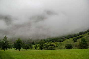 Green valley covered with fog
