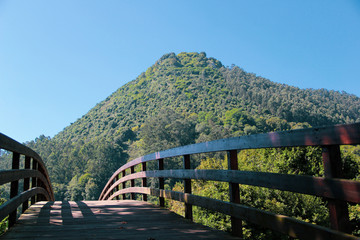 Fototapeta na wymiar Wooden bridge to nature in a cloud free day