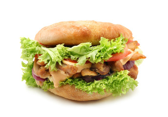 Tasty doner kebab on white background