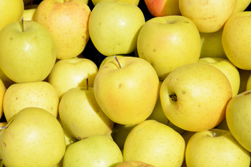 fresh yellow apples in the market