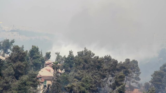 Firefighting plane flies over the Forest Powerful shot of Firefighting plane over Jeruslalem Forest