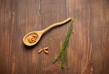 Spoon with plant based pills on wooden background