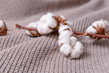 Branch with cotton flowers on bed