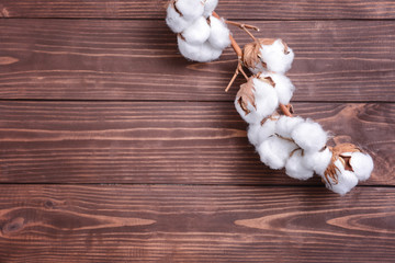 Branch with cotton flowers on wooden background