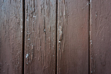 grunge texture of old weathered wood