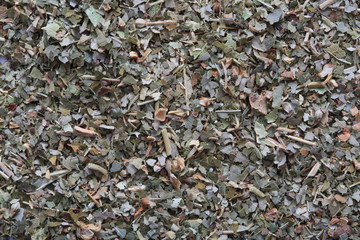 Fototapeta premium (Herb) Linden image
