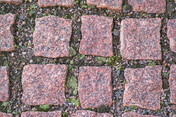 Background of granite squares laid with green moss, old pavement