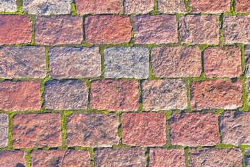 Background of granite rectangles laid with green moss, pavement