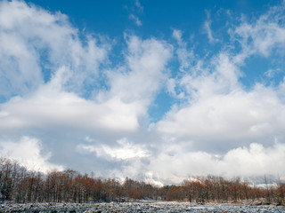 おもしろい雲と空と木々のイメージ素材