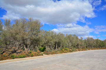 Parque