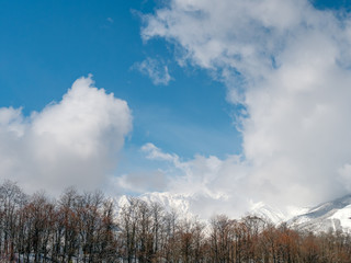 おもしろい雲と空と木々のイメージ素材