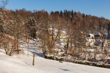 Trees covered with hoarfrost and snow in mountains
