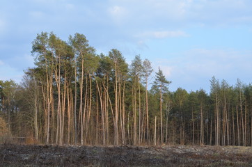 foto  Sobieniak © Szymon