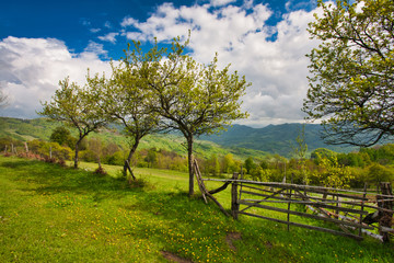 Fototapeta na wymiar Carpatian mountains at spring.