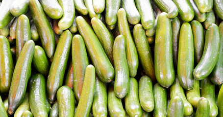 fresh cucumbers in the market on background