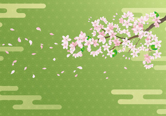 Cherry blossom sakura on Japanese matcha background © bannosuke
