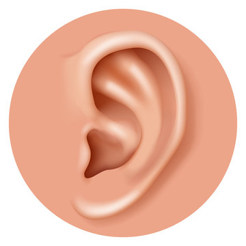 Closeup ear organ hearing human health care realistic 3d icon design vector illustration Stock Vector | Adobe Stock Closeup ear organ hearing human health care realistic 3d icon design vector illustration Stock Vector | Adobe Stock