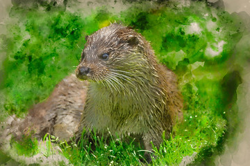Watercolour painting of Otters on riverbank in lush green grass of Summer in sunlight