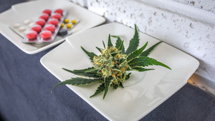 Medical marijuana cannabis pills tablets