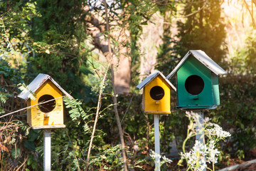 Green and Yellow wooden birdhouse on post in the garden on summer or spring sunshine with natural green leaves background 