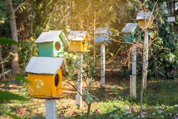 Green and Yellow wooden birdhouse on post in the garden on summer or spring sunshine with natural green leaves background 
