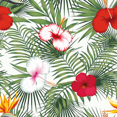 Bird of paradise multicolor hibiscus green plants seamless white