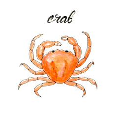 Crab. Hand drawn watercolor crab. Seafood and fish restaurant menu. Isolated raster illustration. 