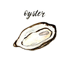 Oyster. Hand drawn watercolor oyster. Seafood and fish restaurant menu. Isolated raster illustration. 