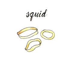 Hand drawn watercolor squid rings. Seafood and fish restaurant menu. Isolated raster illustration. 