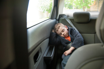 cute little caucasian child passenger sleeping inside car with seatbelt