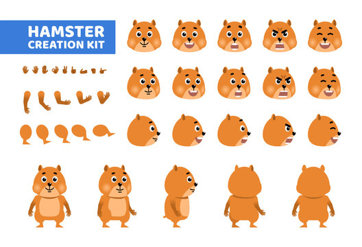 Cartoon hamster or guinea pig creation set. Various gestures, emotions, diverse poses, views. Create your own pose, animation. Flat style vector illustration