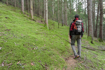 A trekker walking solo  among the forest in a cloudy day
