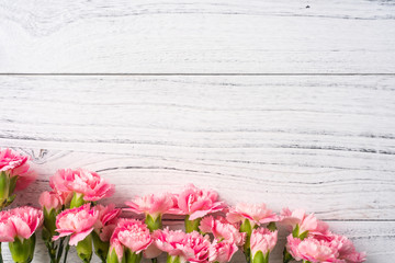 top view of carnation on white wooden background