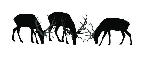 Deer family grassing vector silhouette isolated on white background. Reindeer couple with fawn. Proud Noble Deer male in forest zoo. Powerful buck with huge antlers standing. Animal collection of deer