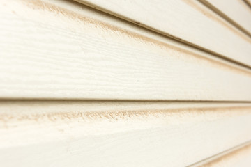 Mold and mildew on the siding wall. 