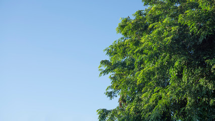 Obraz premium Blue sky with cloud. Clearing day and Good weather in the morning. - Image 