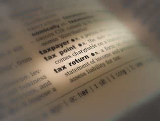 A close up of the a dictionary page showing the highlighted word: tax return