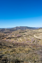 Mountainous area around the town of Morella